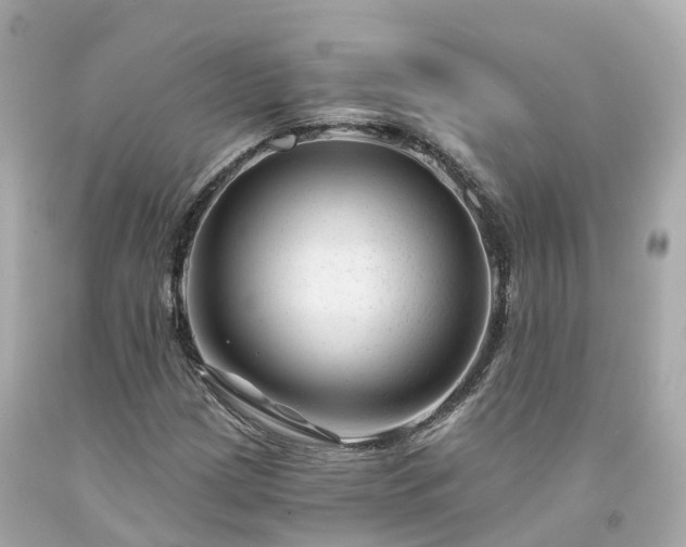 X0000094191209200711021020