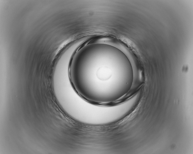 X0000094191210200711021020