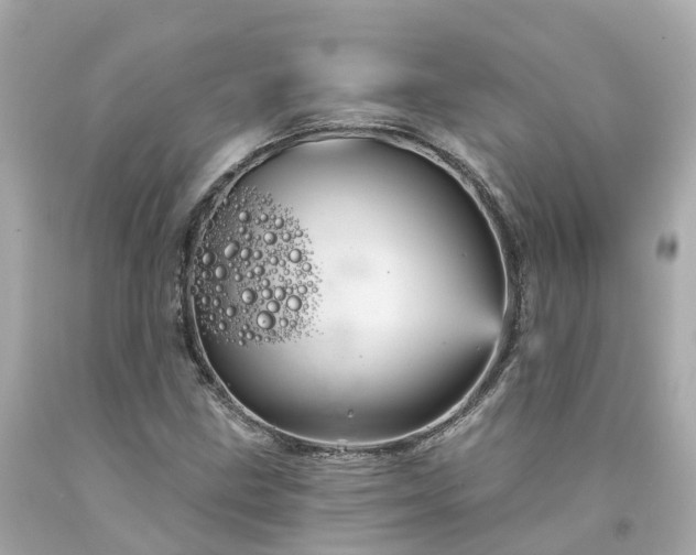 X0000094191211200711021020