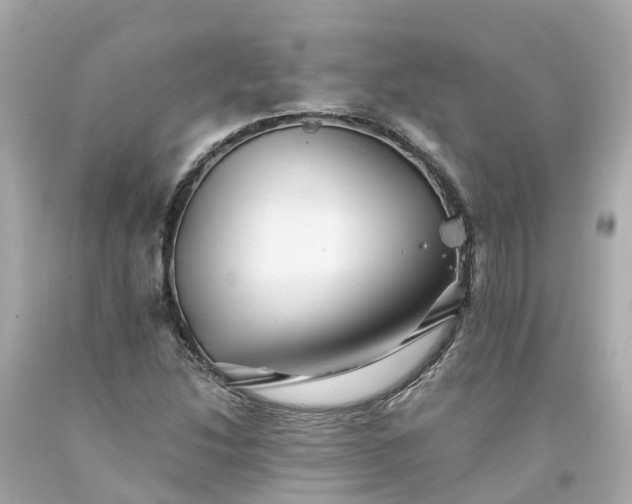 X0000094191214200711021020