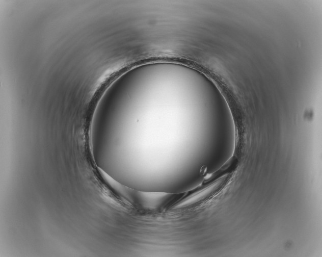 X0000094191218200711021020