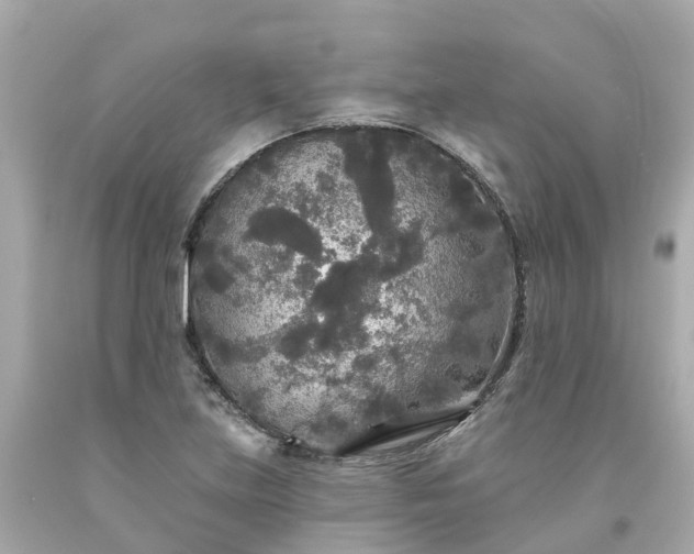 X0000094191219200711021020