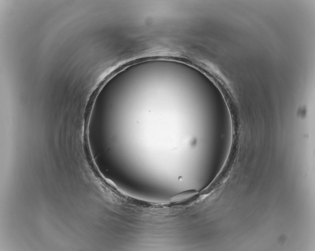 X0000094191220200711021020