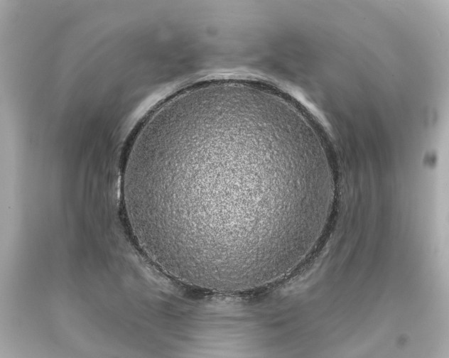 X0000094191221200711021020