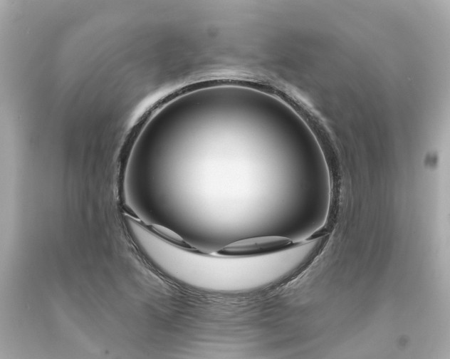 X0000094191222200711021020