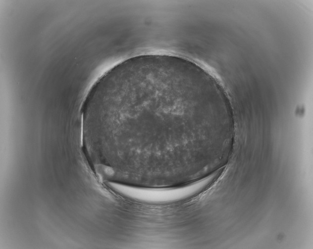 X0000094191223200711021020