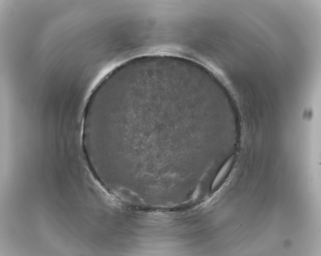 X0000094191224200711021020