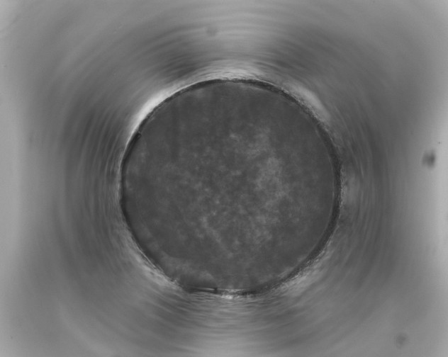 X0000094191226200711021020