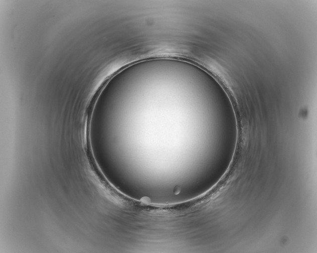 X0000094191227200711021020