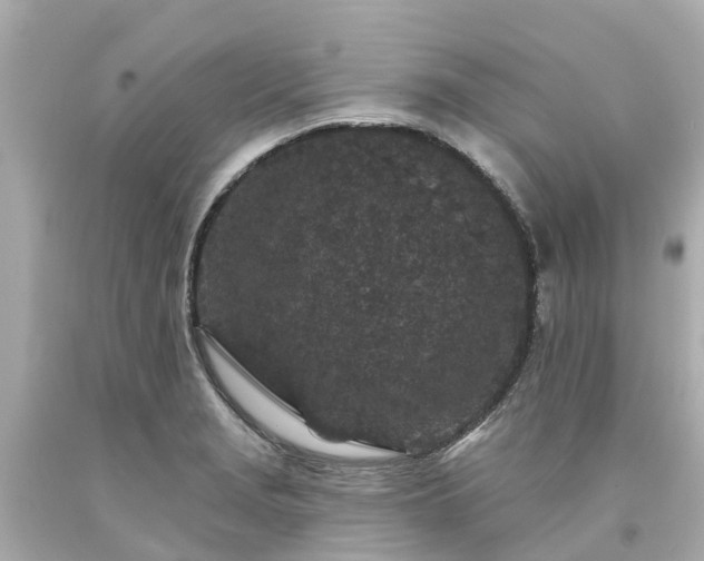 X0000094191229200711021020