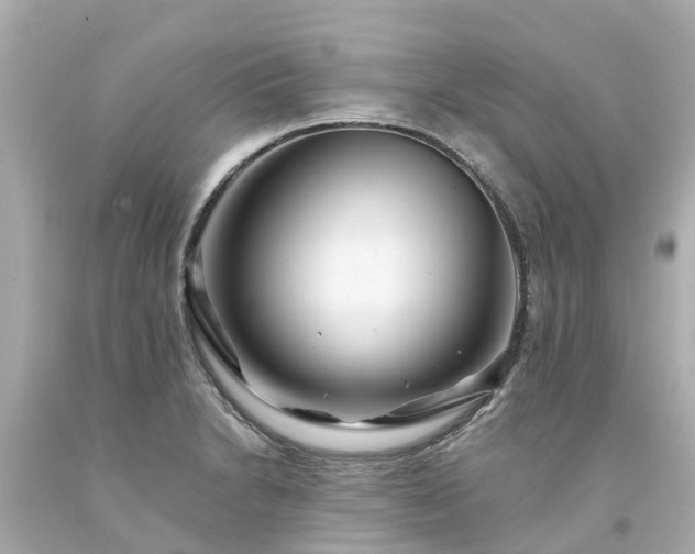 X0000094191230200711021020