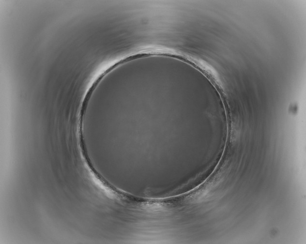 X0000094191231200711021020