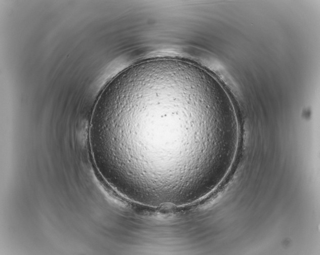 X0000094191233200711021021