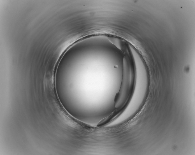 X0000094191234200711021021