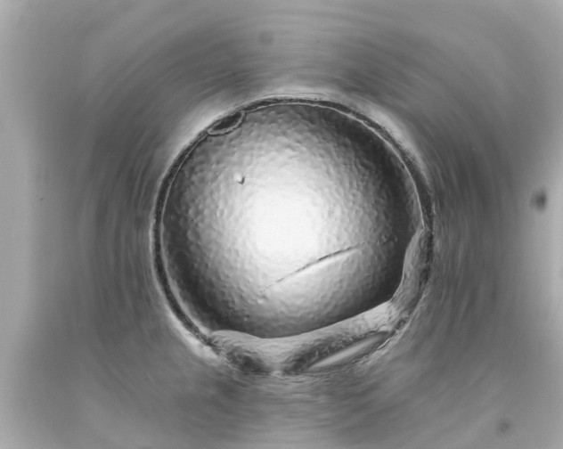 X0000094191237200711021021