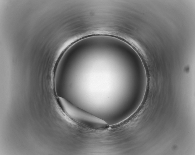 X0000094191238200711021021