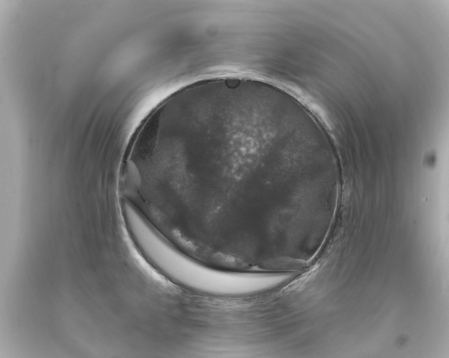 X0000094191239200711021021