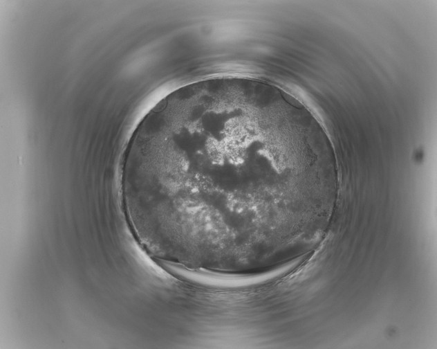 X0000094191243200711021021