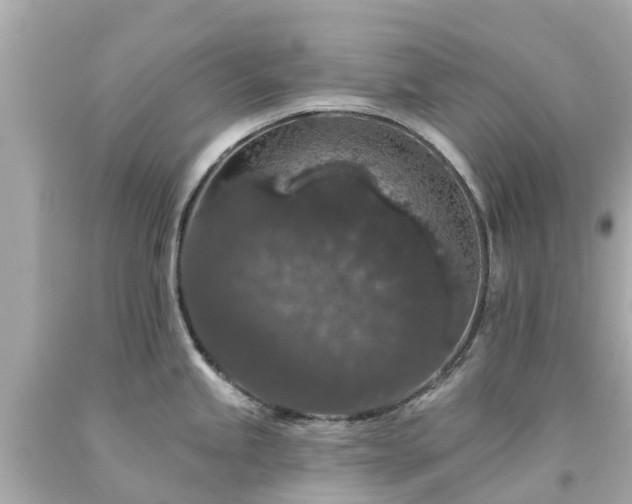X0000094191245200711021021