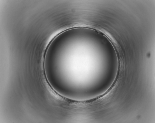 X0000094191246200711021021