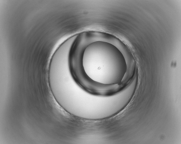 X0000094191248200711021021