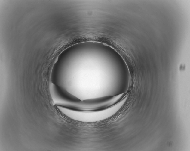 X0000094191249200711021020