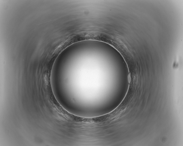 X0000094191250200711021020