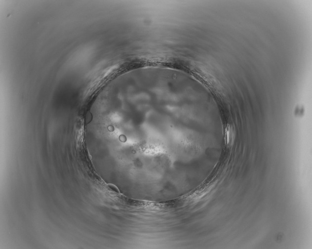 X0000094191251200711021020