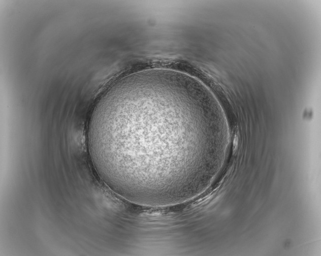 X0000094191252200711021020