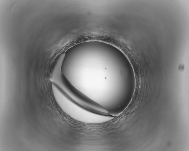 X0000094191253200711021020