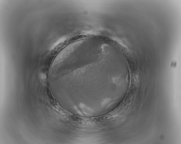 X0000094191254200711021020