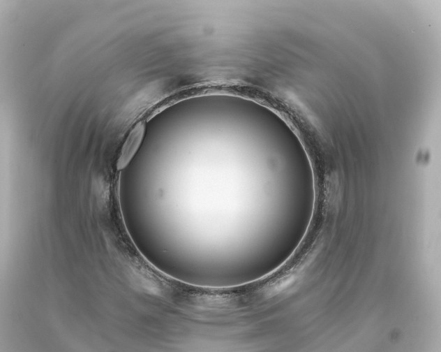 X0000094191257200711021020