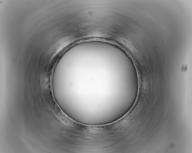 X0000094191258200711021020