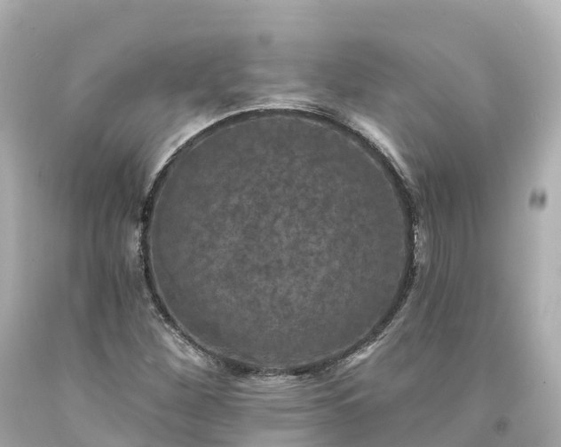 X0000094191260200711021020