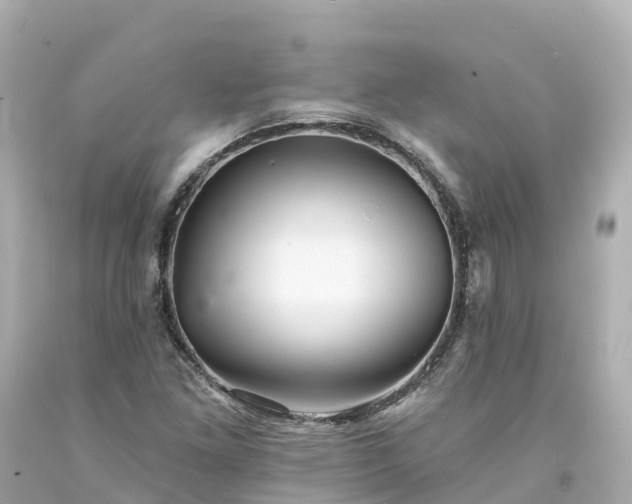 X0000094191261200711021020