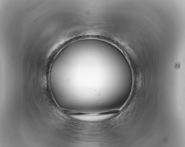 X0000094191262200711021020