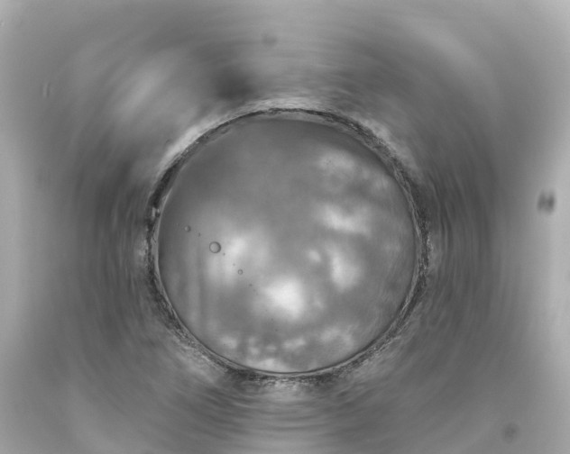 X0000094191266200711021020