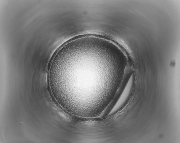 X0000094191268200711021020