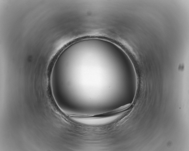X0000094191270200711021020
