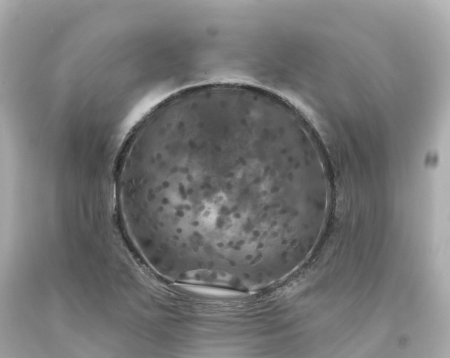 X0000094191271200711021020