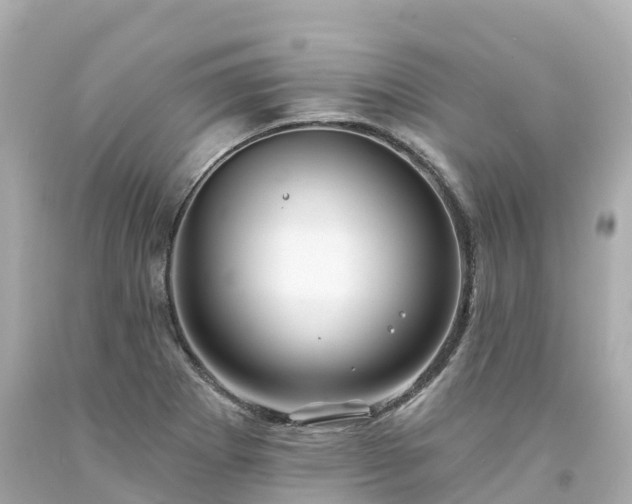 X0000094191273200711021020
