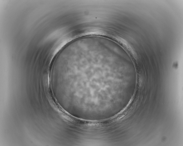 X0000094191274200711021020