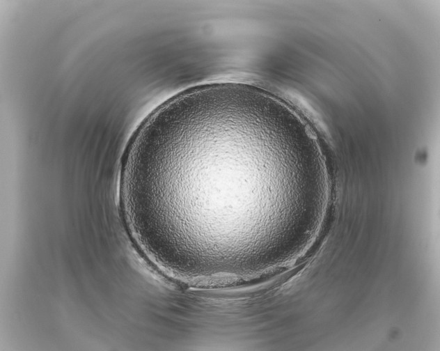 X0000094191276200711021020