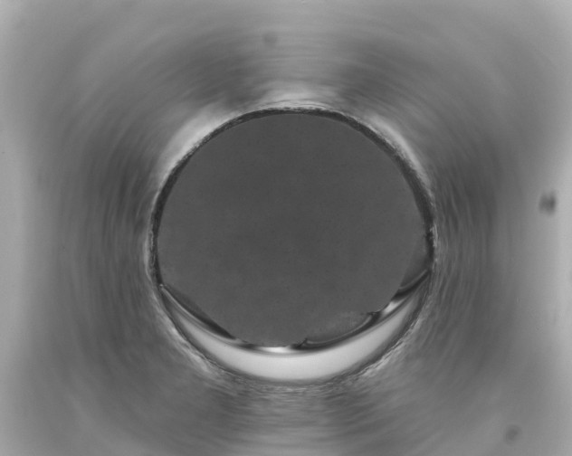 X0000094191277200711021020