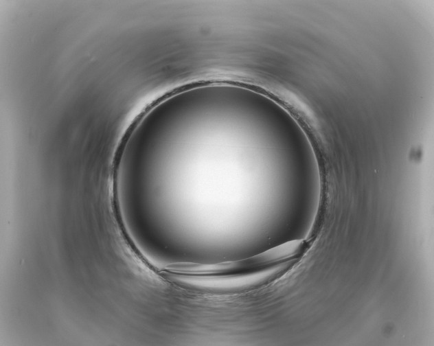 X0000094191280200711021020