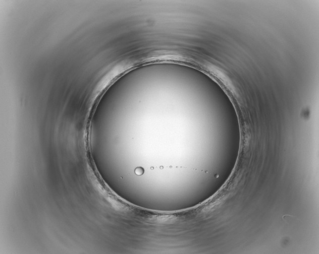 X0000094191282200711021020
