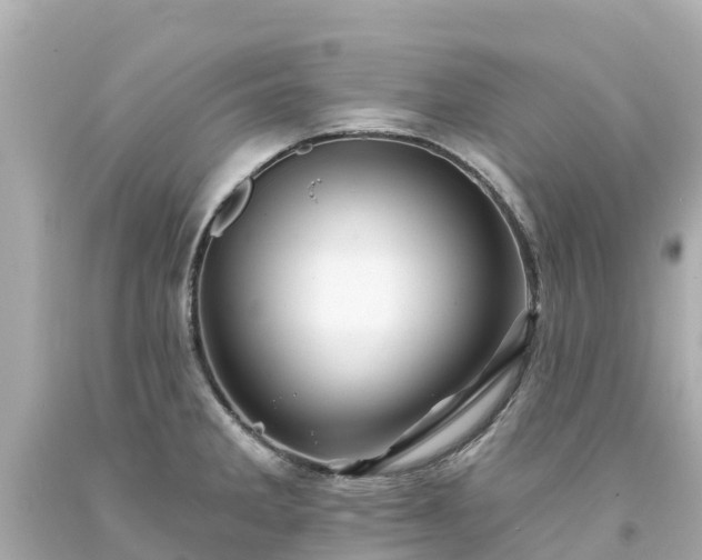 X0000094191285200711021020