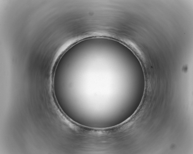 X0000094191286200711021020