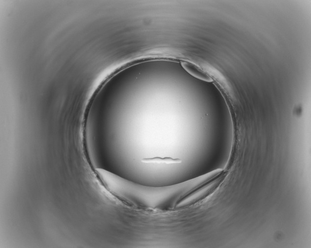 X0000094191288200711021020