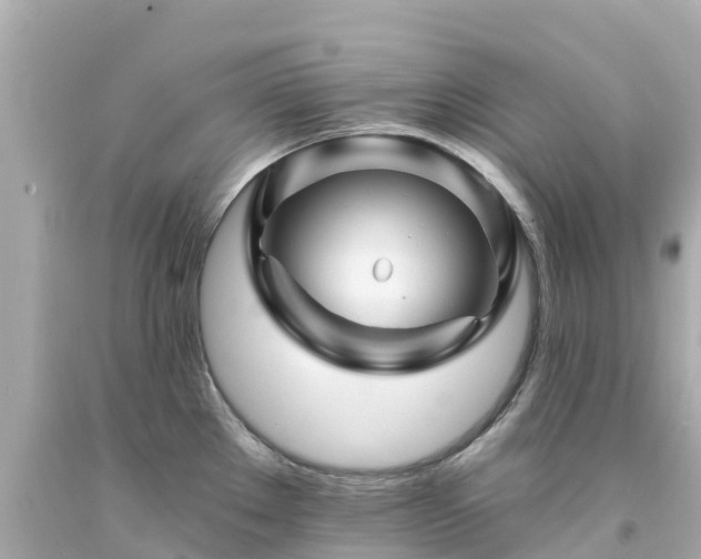 X0000094191289200711021019